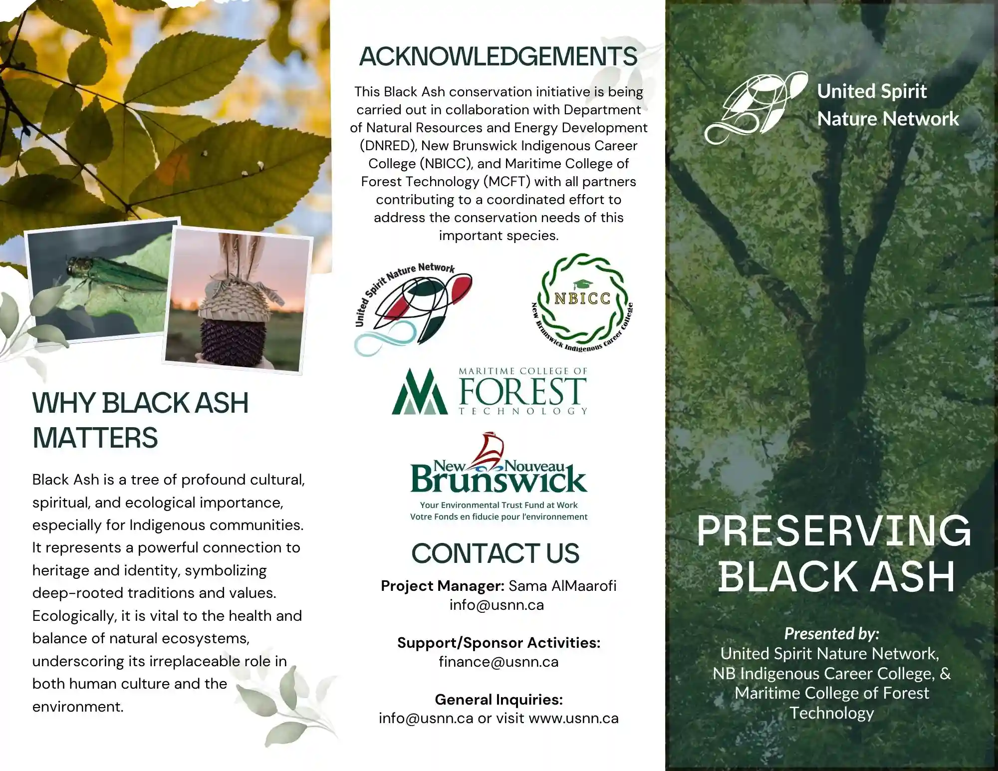 Preserving Black Ash Brochure