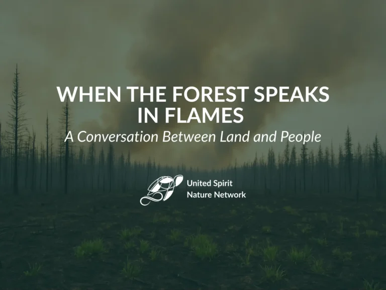 When the Forest Speaks in Flames: A Conversation Between Land and People