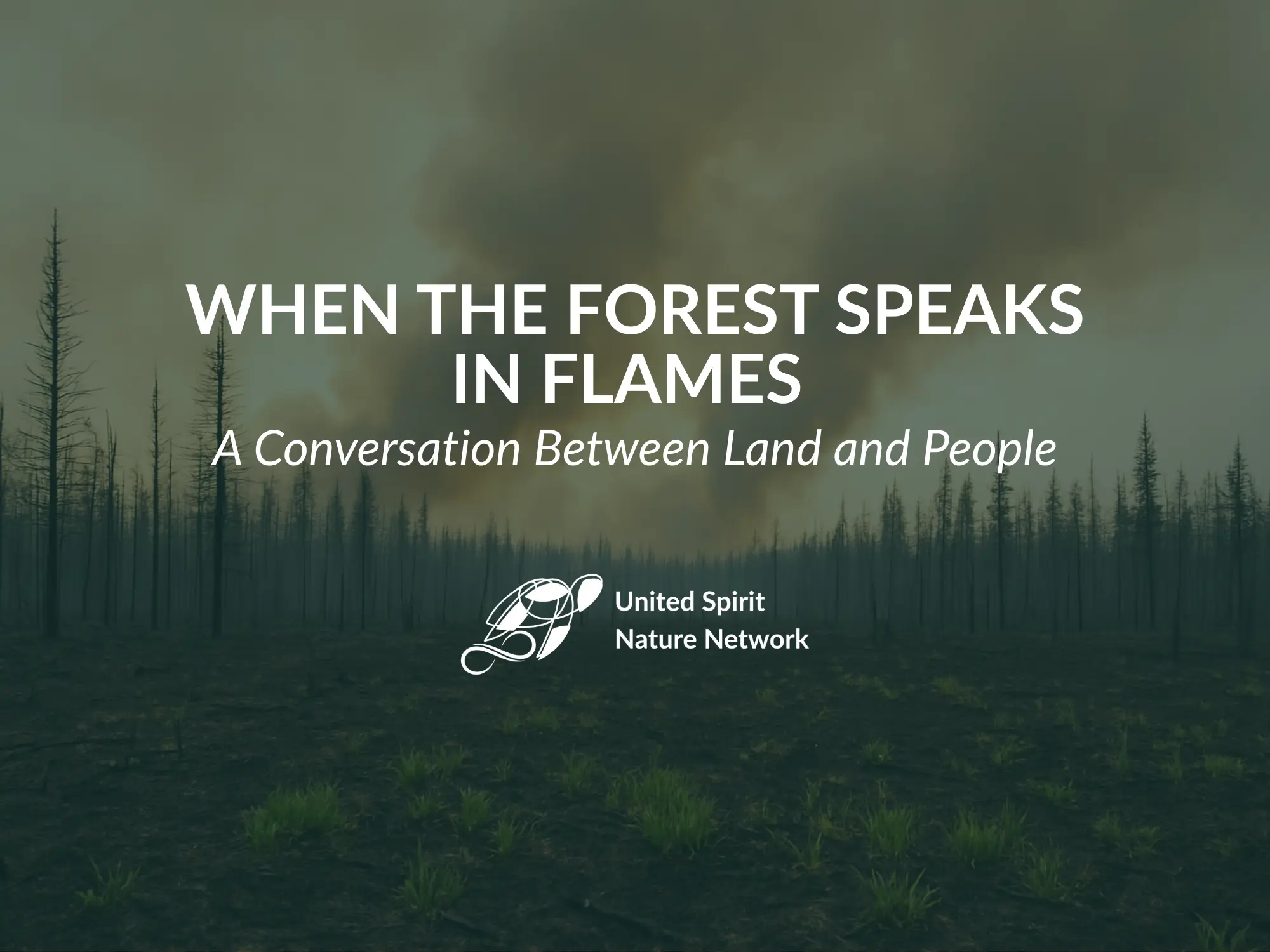 When the Forest Speaks in Flames: A Conversation Between Land and People