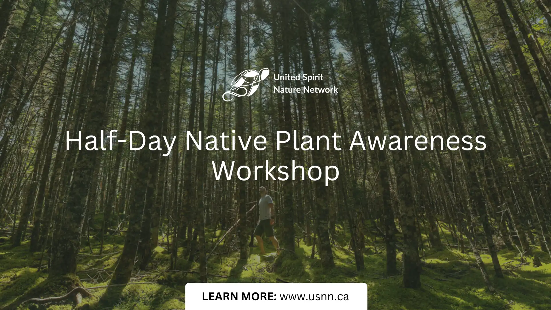 🍁 Nature's Classroom: A Half-Day Native Plant Discovery Workshop