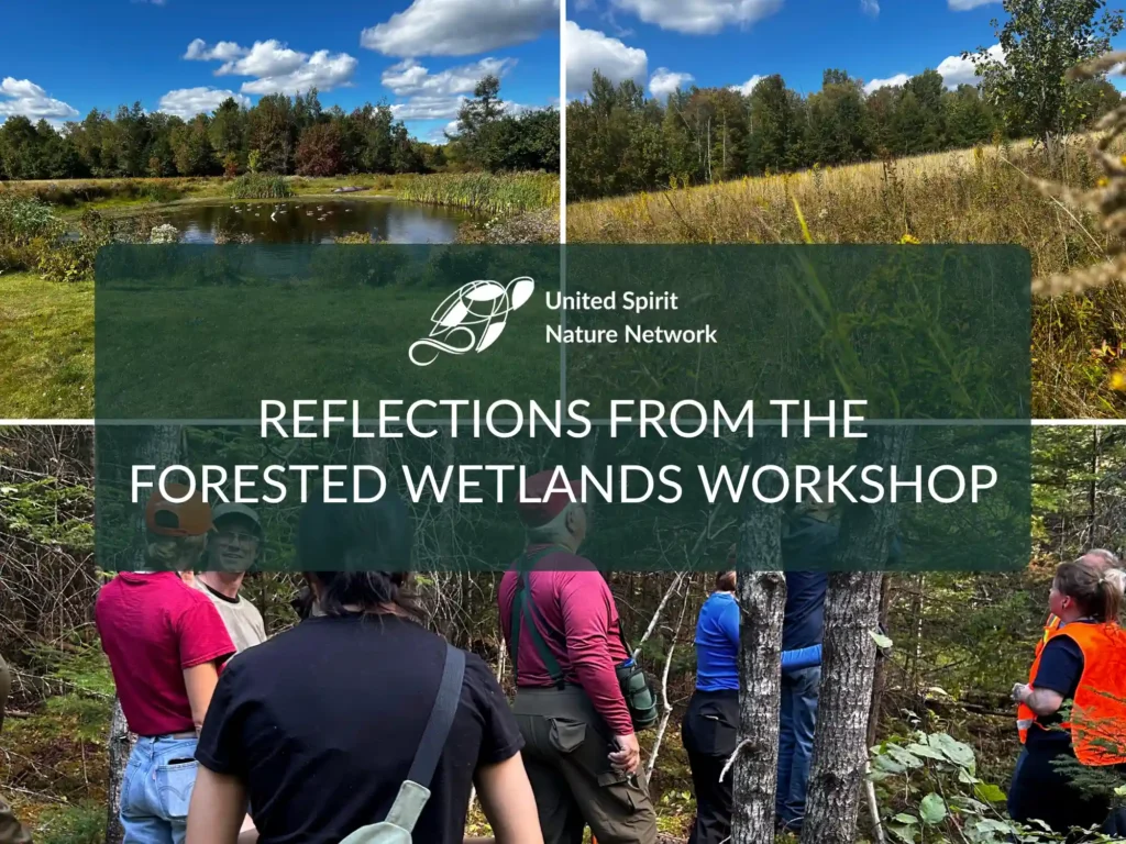 Reflections from the Forested Wetlands Workshop in St. Stephen