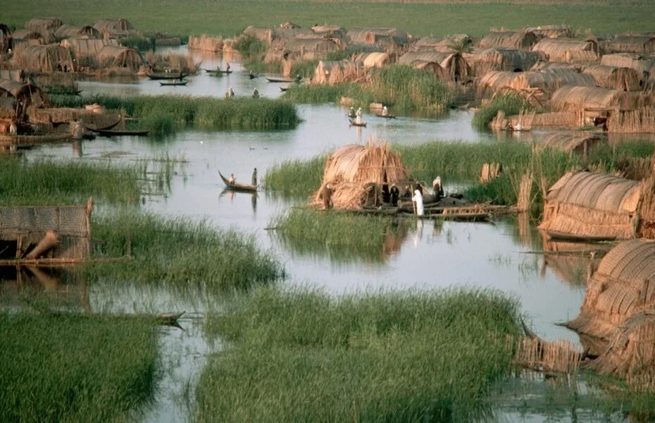 The Marshes of Mesopotamia and sustainable academia