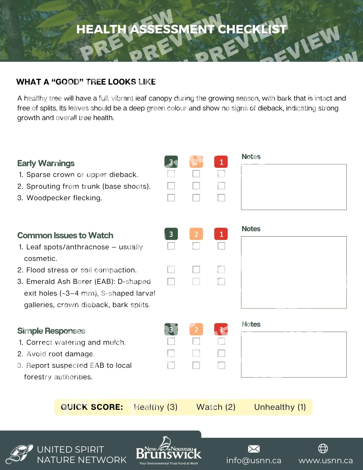 Black Ash Health Assessment Checklist