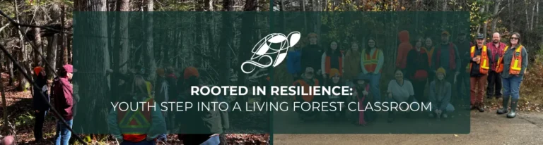 Rooted in Resilience Youth Step Into a Living Forest Classroom 