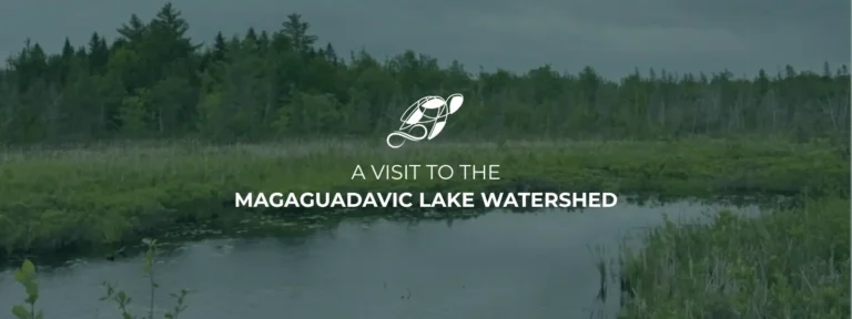 A Visit to the Magaguadavic Lake Watershed - USNN