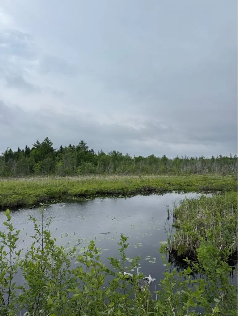 Magaguadavic Lake Watershed - Photo taken by Mackenzie Warman